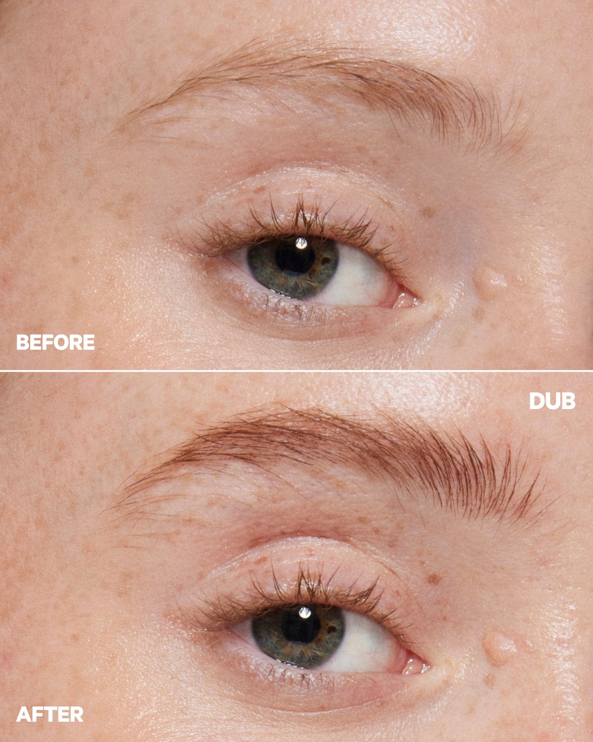 KUSH High Roll Defining + Volumizing Brow Tint