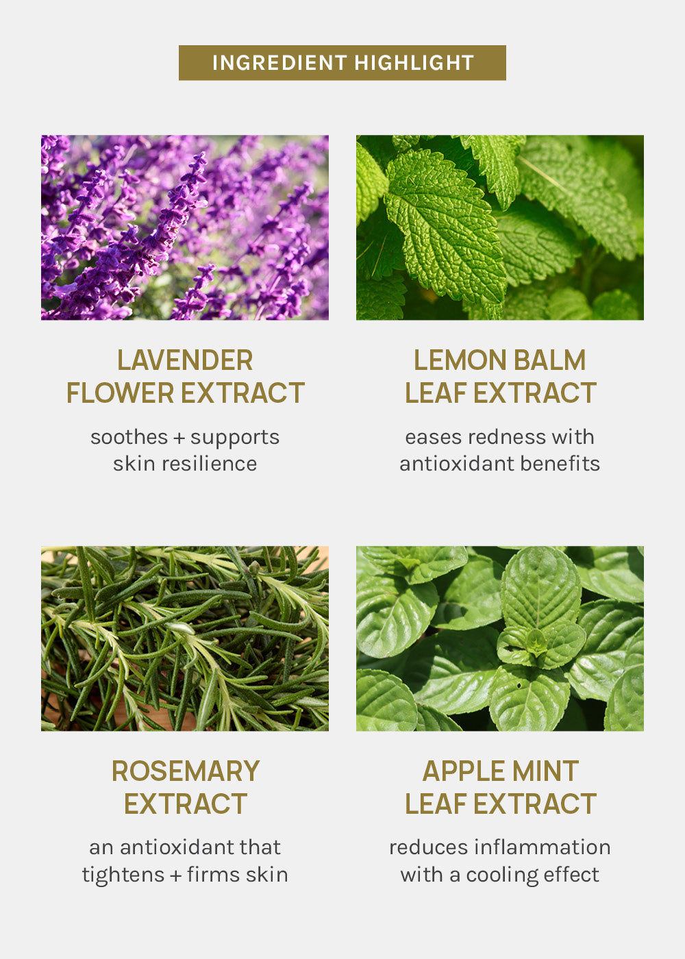AOA Skin Nature's Gift Heartleaf Sheet Mask
