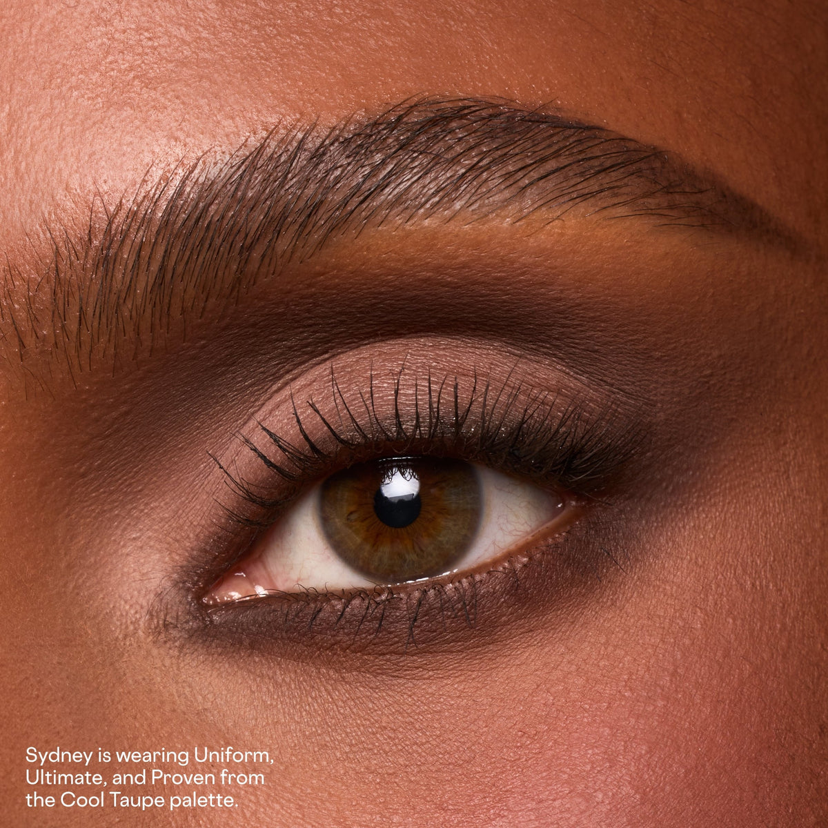 Major Dimension Essential Artistry Edit Eyeshadow Palette