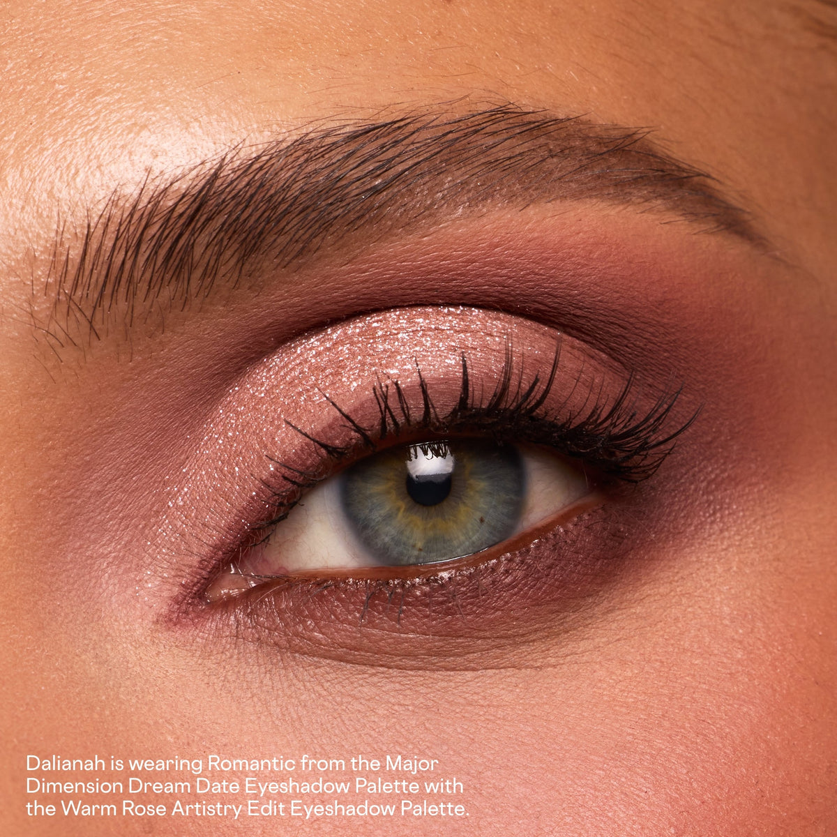 Matte & Shimmer Eyeshadow Set