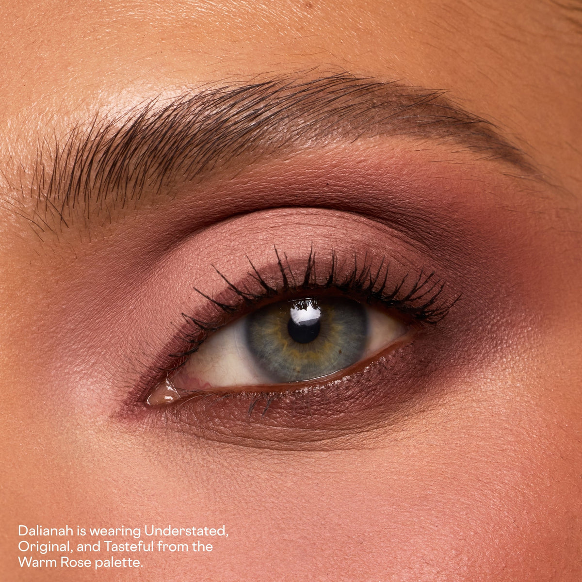 Major Dimension Essential Artistry Edit Eyeshadow Palette