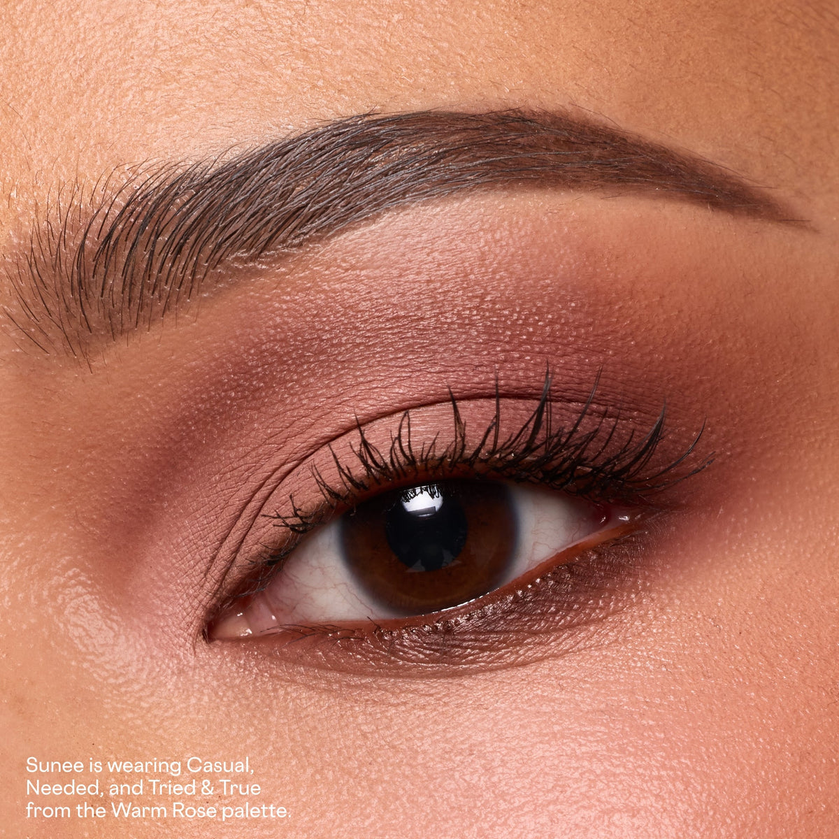 Major Dimension Eyeshadow Trio