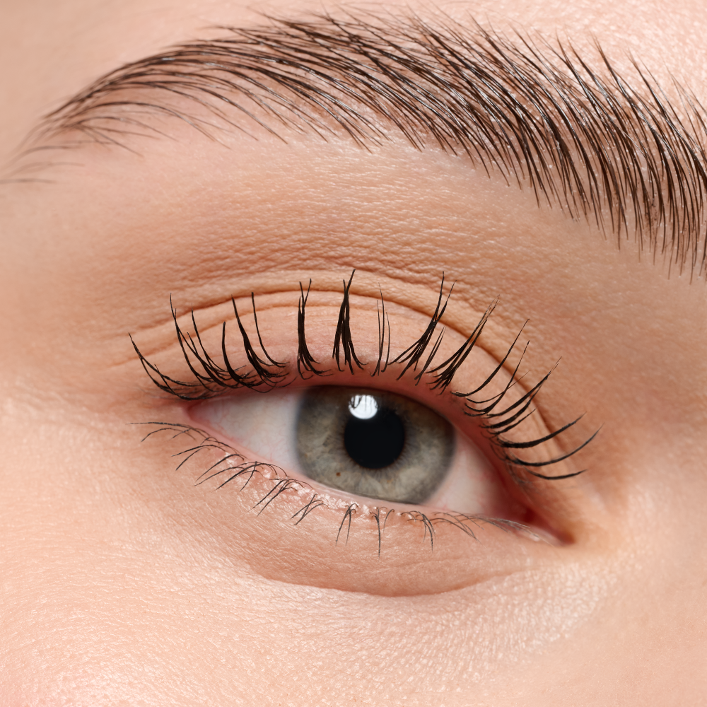 mono eyeshadow matte
