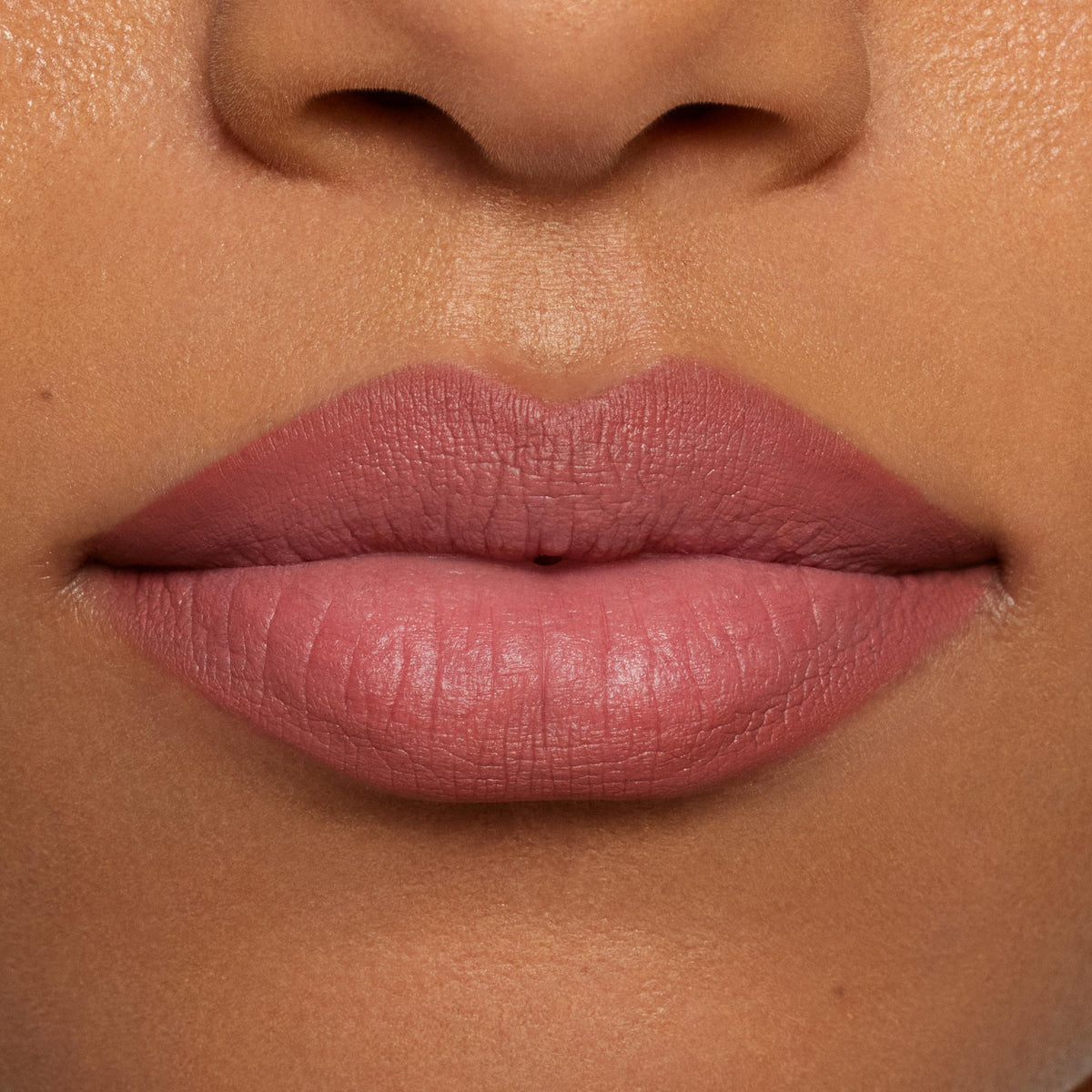 Plumping Matte Lip Kit