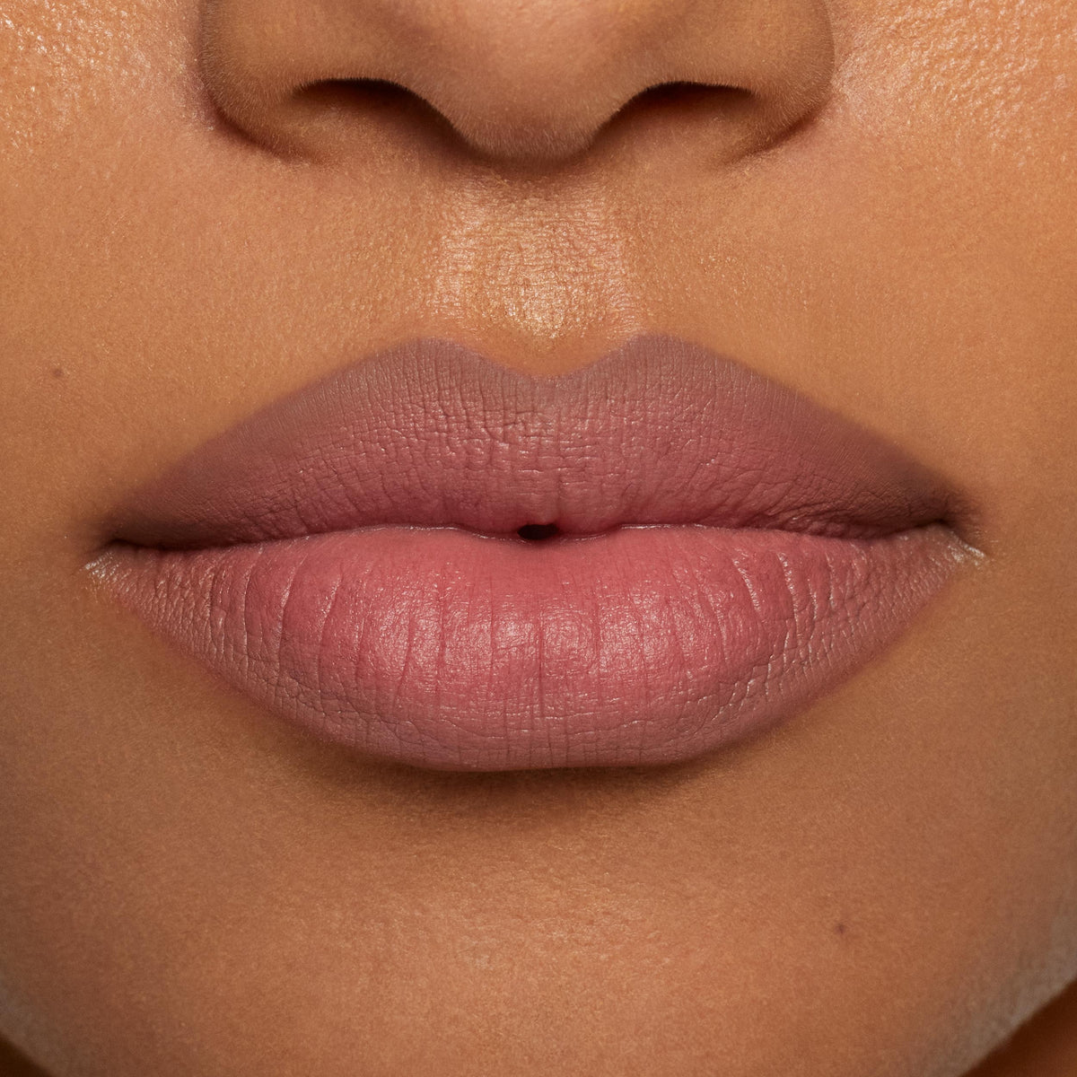 Plumping Matte Lip Kit