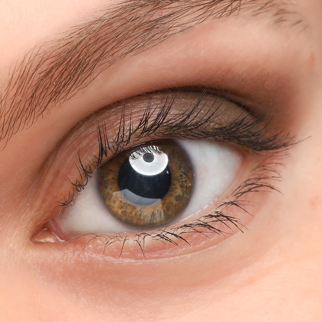 304 - Eyeshadow Muskat