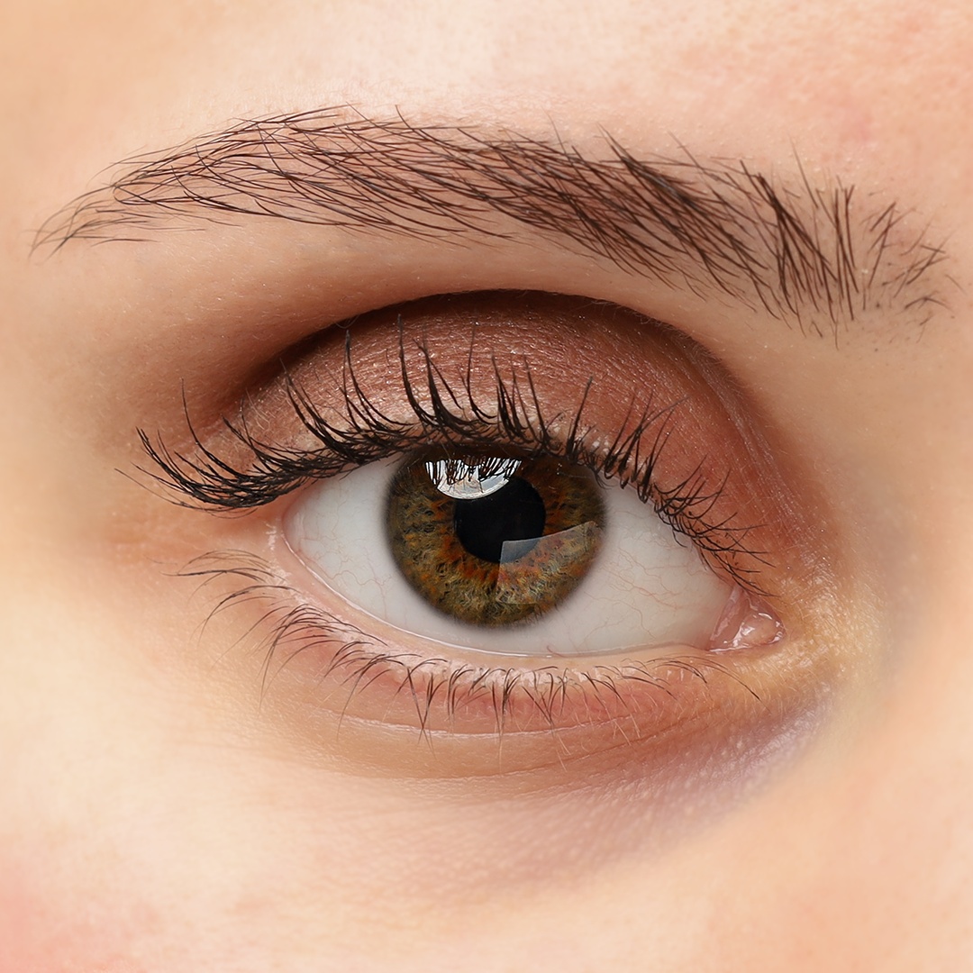 309 - Eyeshadow Bronce
