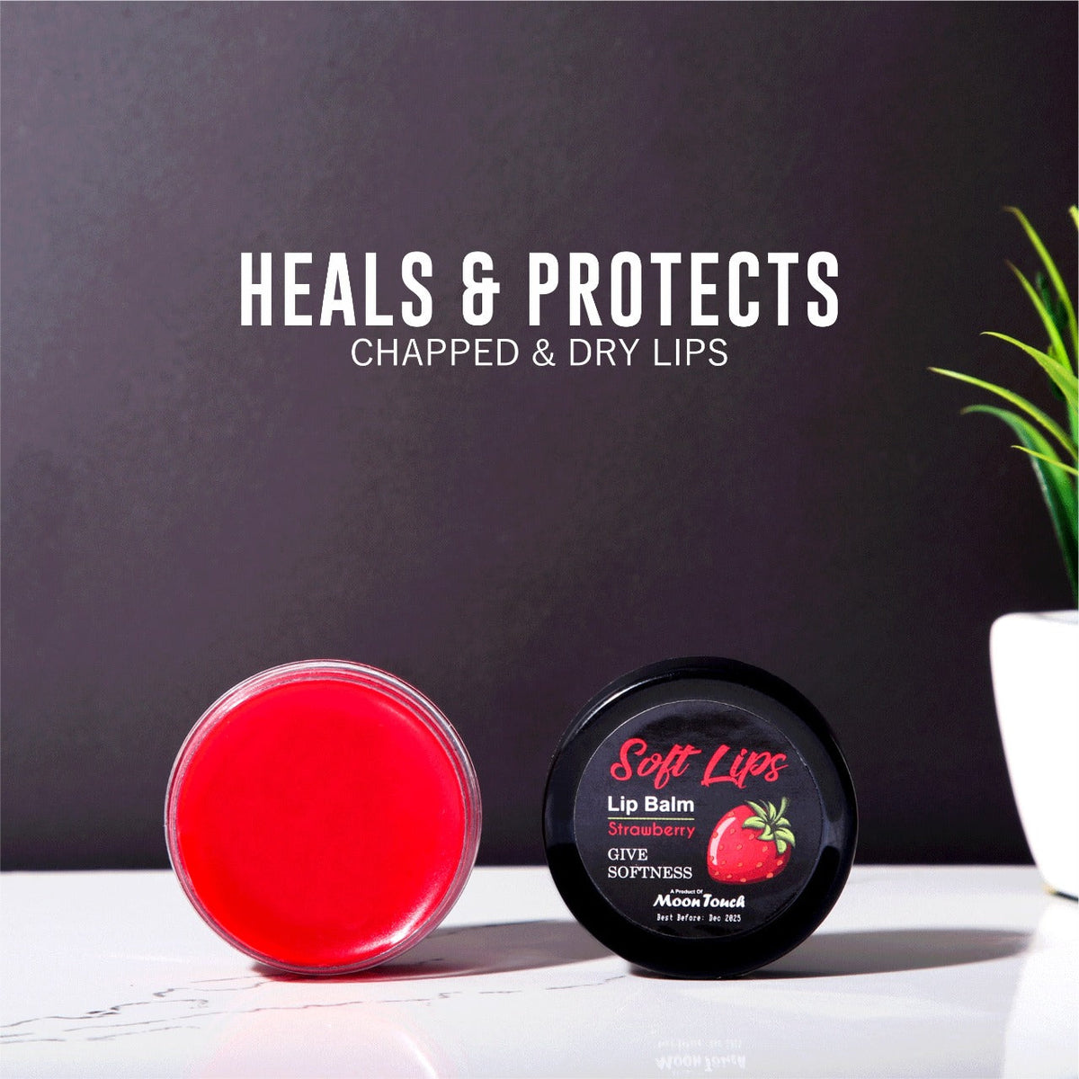 Lip Balm Small b1g1 free